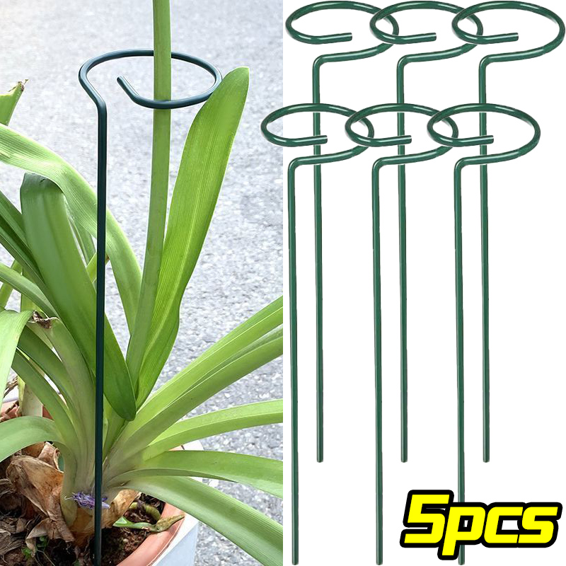 Florist Supp - 1/10pcs Garden Support Stake Ring Metal