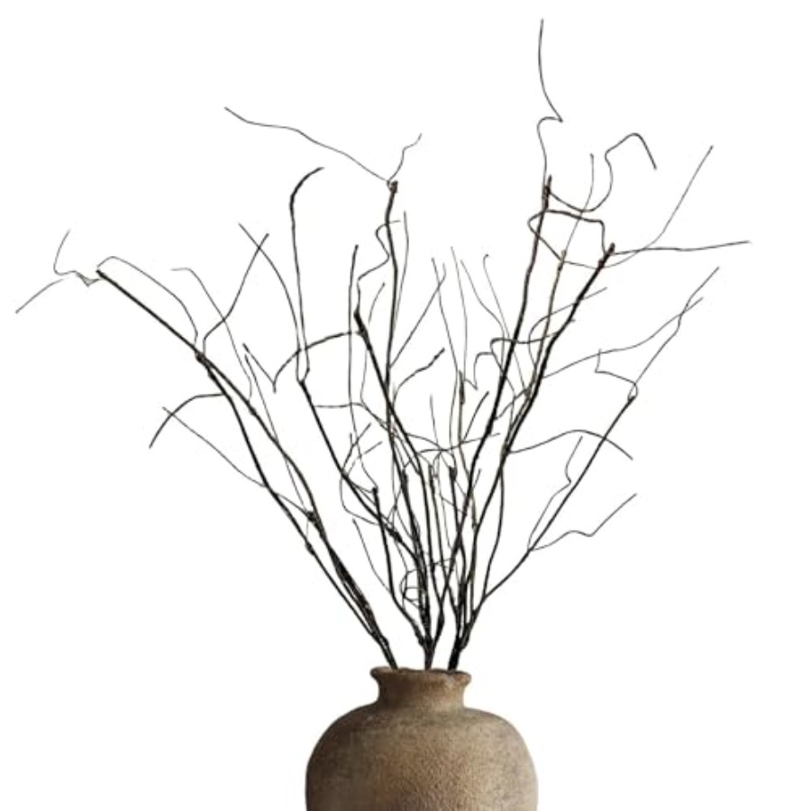 Branch Curly Willow - Bendable Curly Willow Branches for Vase