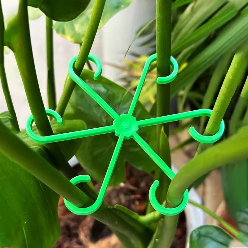 Flower Plant Stem Support Stak - Florist Supp review and price