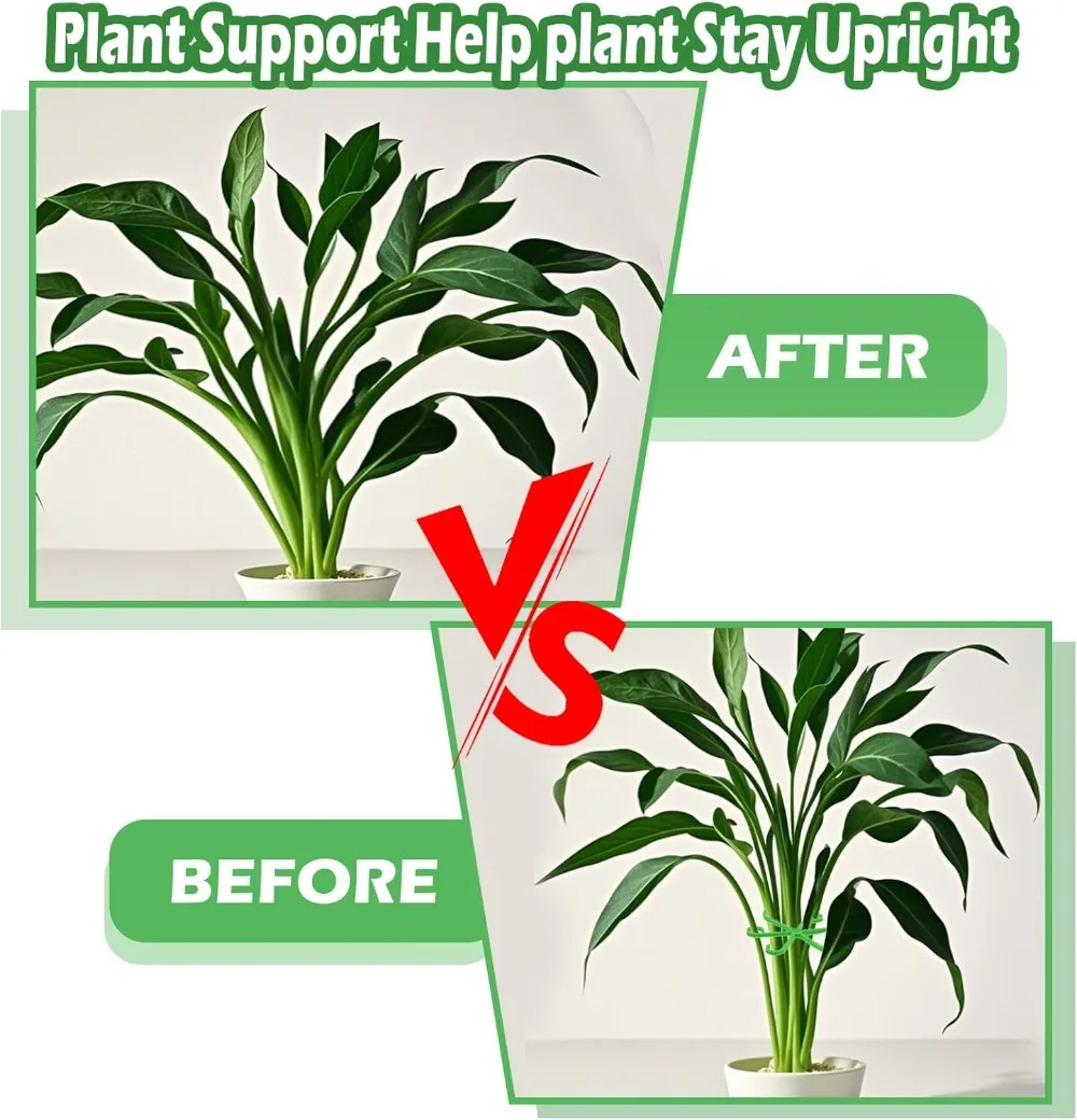 Flower Plant Stem Support Stak - Florist Supp review and price