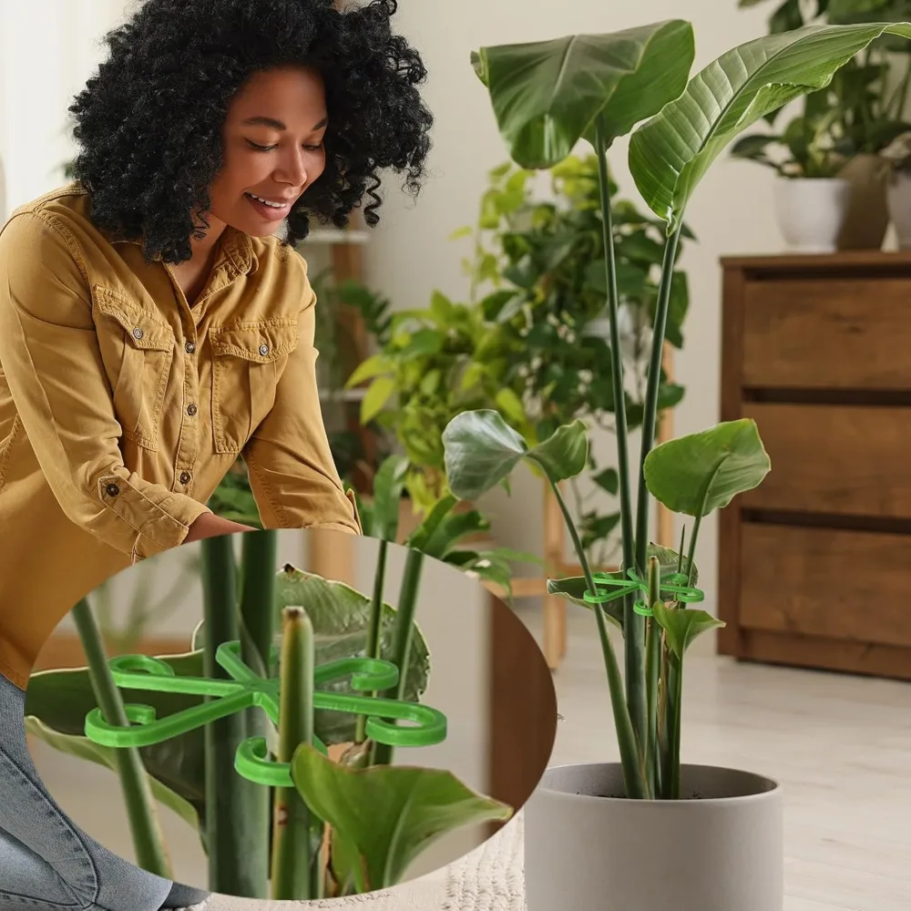 Flower Plant Stem Support Stak - Florist Supp review and price