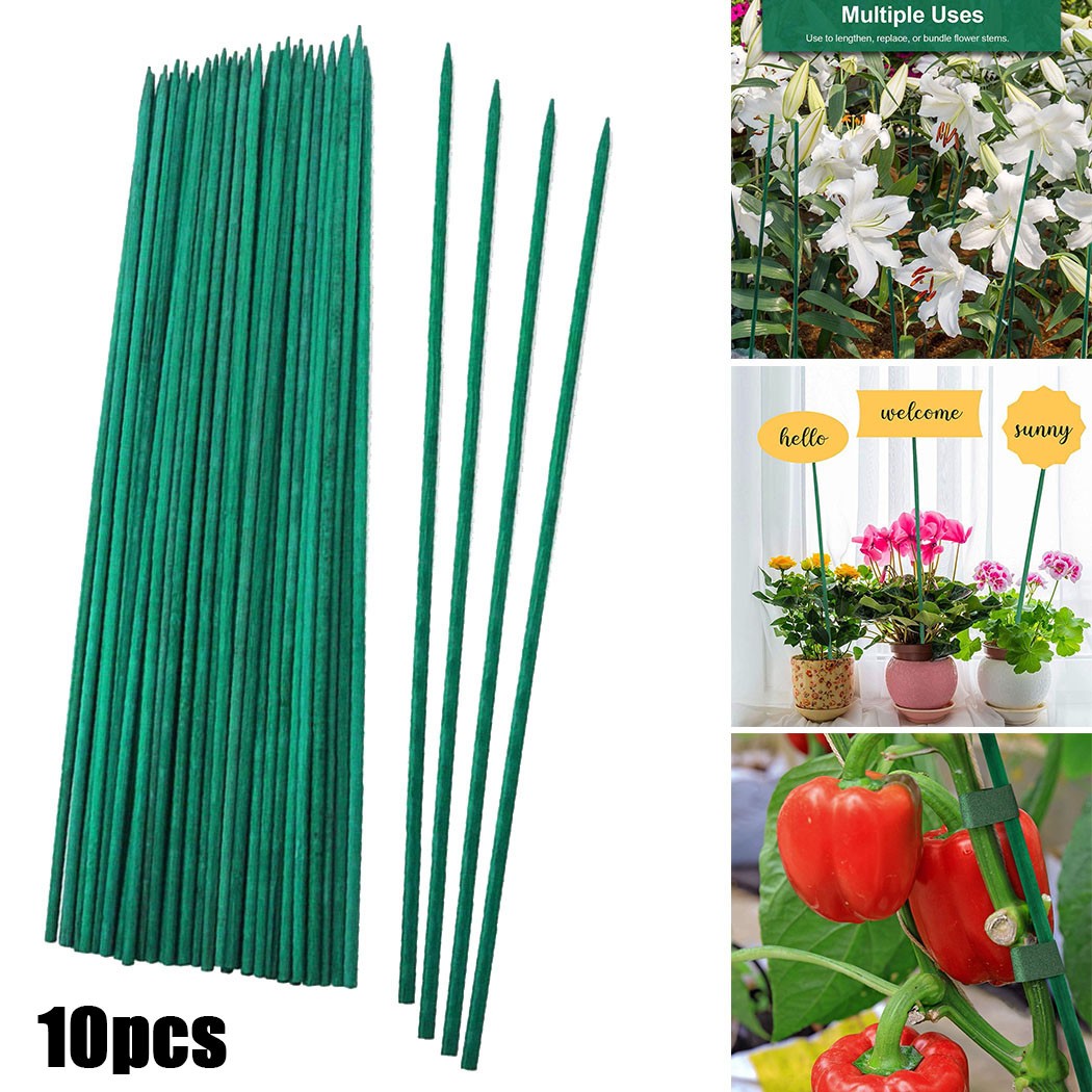 10pcs 40cm Green Plant Support - Florist Supp review and price