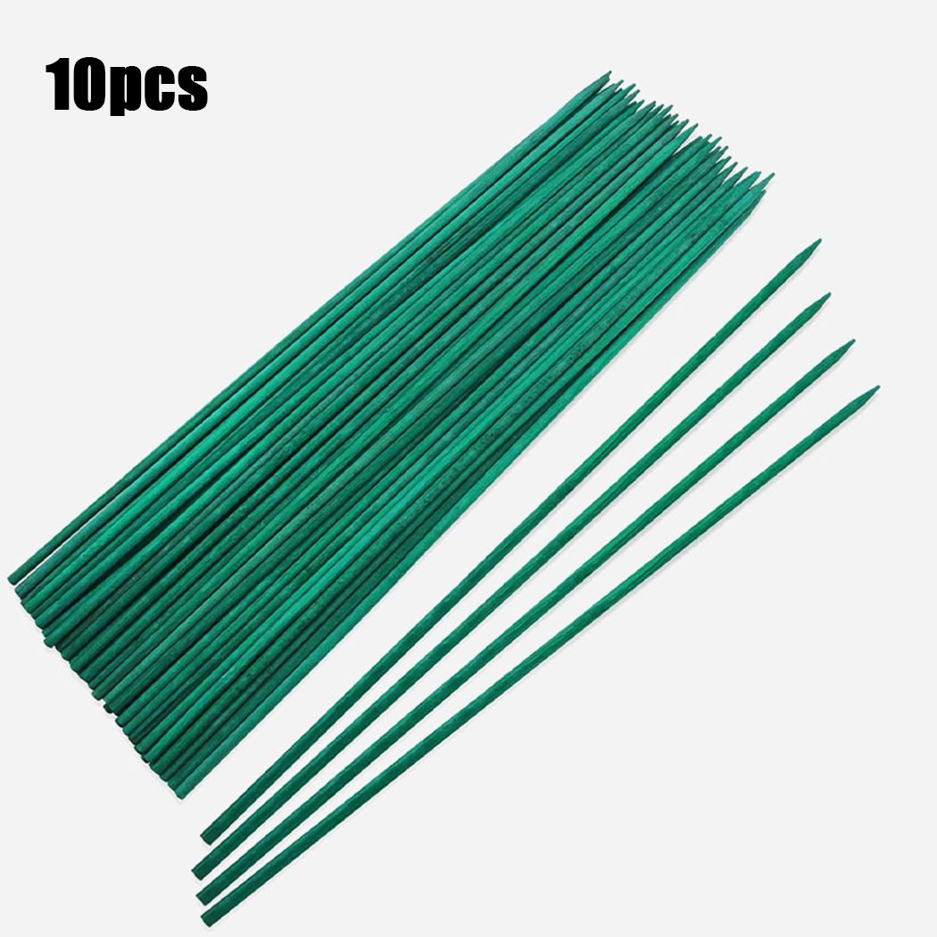 10pcs 40cm Green Plant Support - Florist Supp review and price