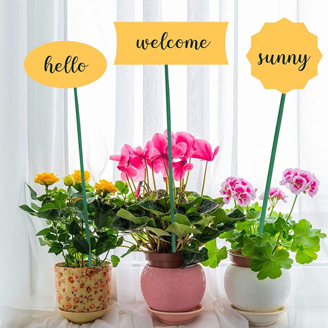 10pcs 40cm Green Plant Support - Florist Supp review and price