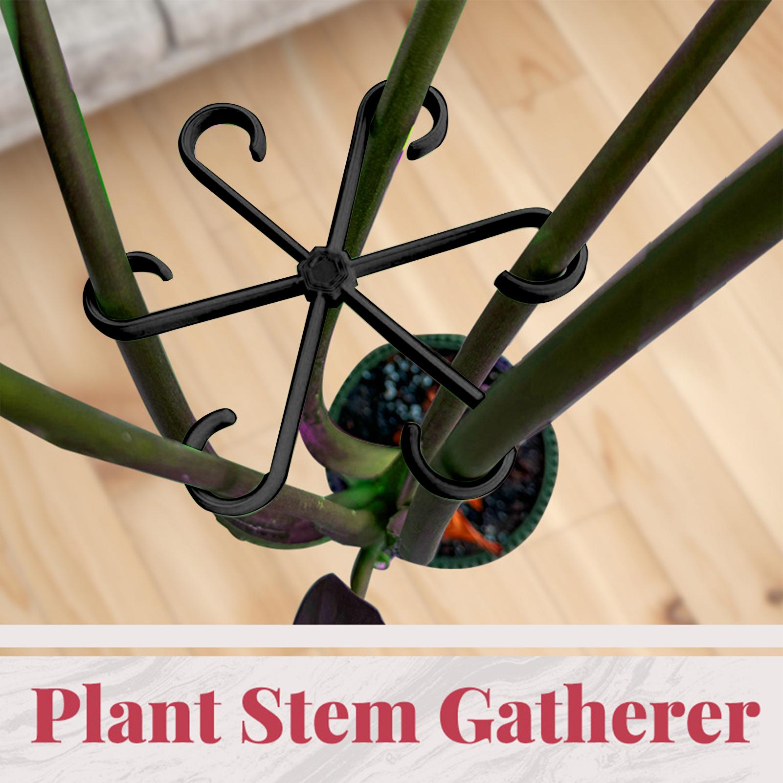 4pcs Plant Stem Support Clips  - Florist Supp review and price