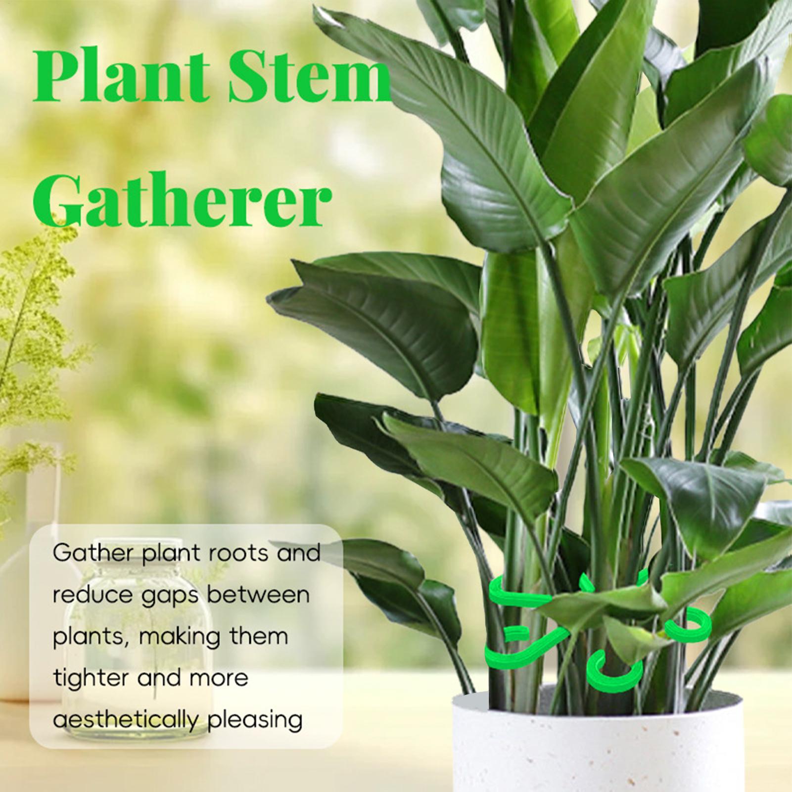 4pcs Plant Stem Support Clips  - Florist Supp review and price