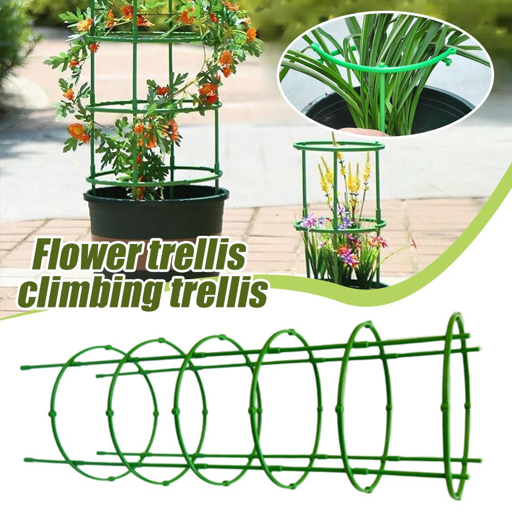 Tomato Cages Trellis Plastic C - Florist Supp review and price