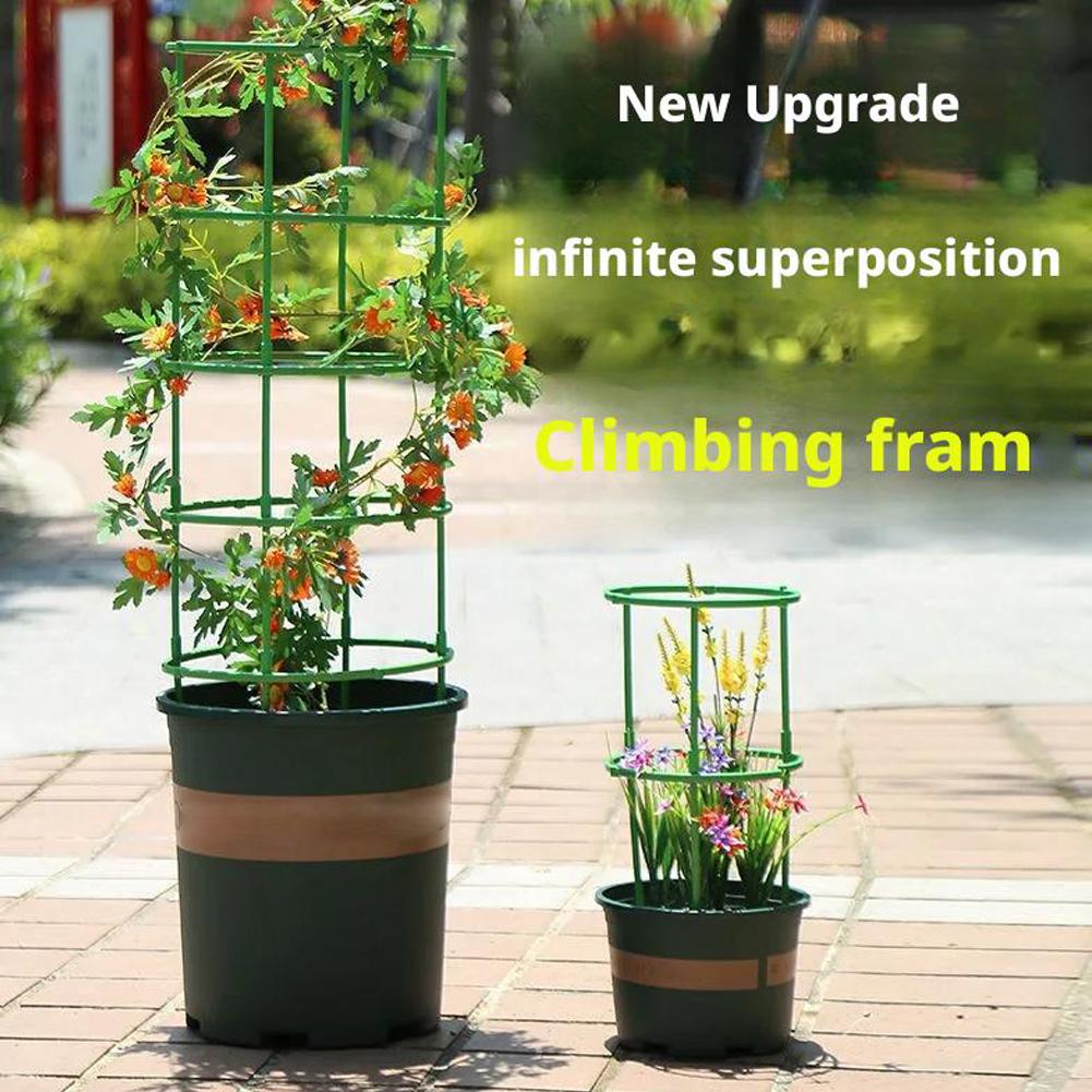 Tomato Cages Trellis Plastic C - Florist Supp review and price