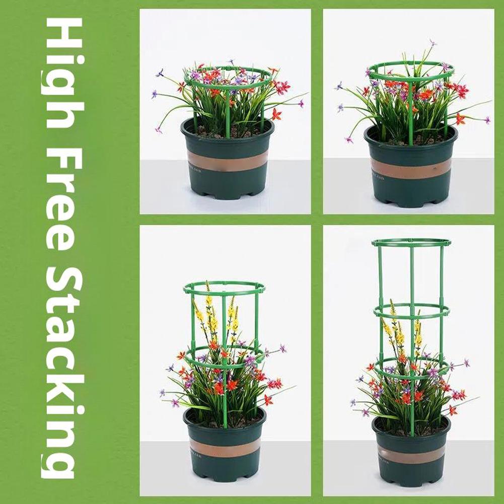 Tomato Cages Trellis Plastic C - Florist Supp review and price