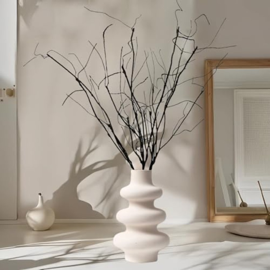 Bendable Curly Willow Branches - Branch Curly Willow review and price