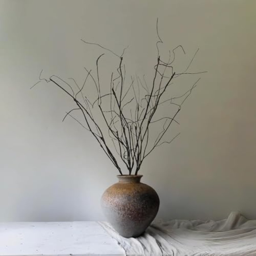 Bendable Curly Willow Branches - Branch Curly Willow review and price