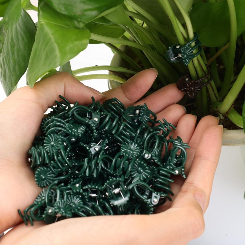 Wholesale Mini Plant Support C - Florist Supp review and price