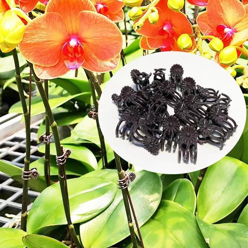 Wholesale Mini Plant Support C - Florist Supp review and price