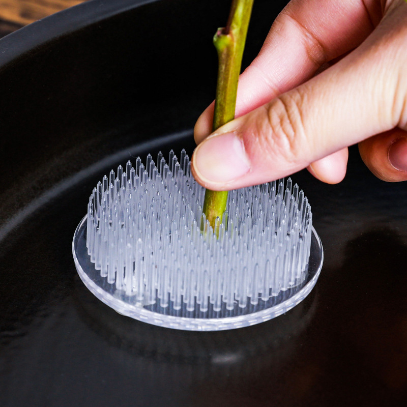 Round Ikebana Stem Holder Suct - Florist Supp review and price