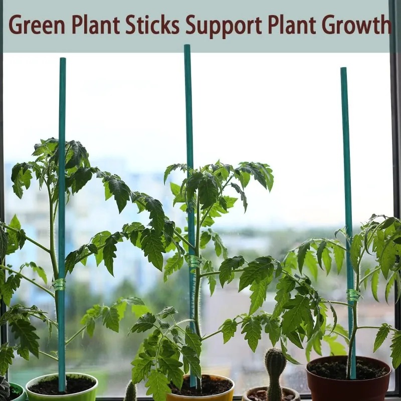 Plant Support Sticks Canes Bam - Florist Supp review and price