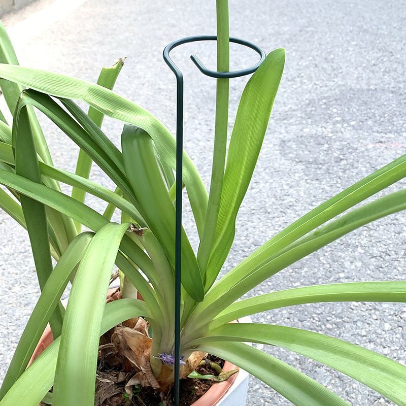 1-10pcs Metal Single Stem Plan - Florist Supp review and price