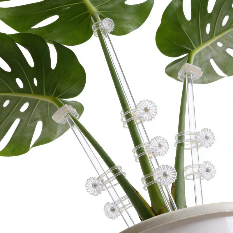 Reusable Clear Flower Support  - Florist Supp review and price