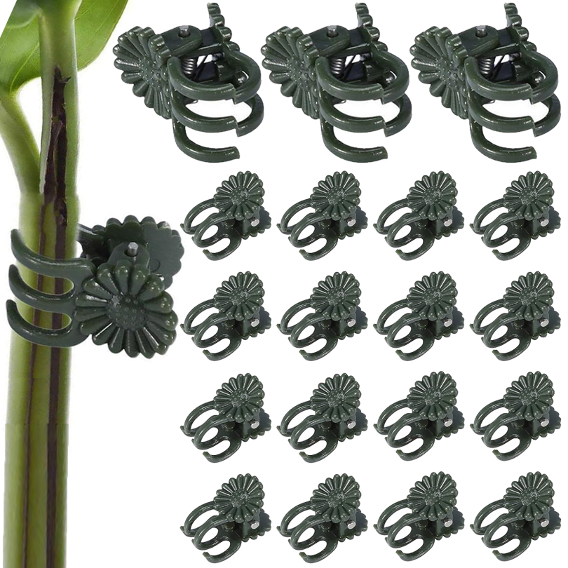 20/50/100PCS Plant Clips Vine  - Florist Supp review and price