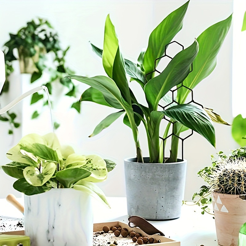 1PC Honeycomb Design Plant Tre - Florist Supp review and price