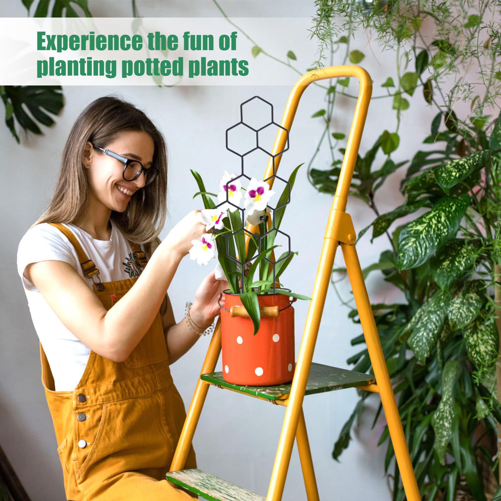 1PC Honeycomb Design Plant Tre - Florist Supp review and price